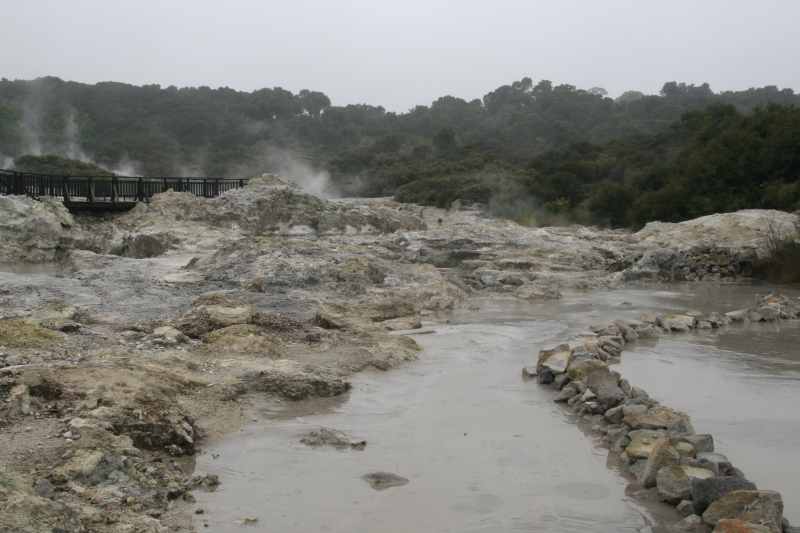 Nieuw-Zeeland 2011 - 0580
